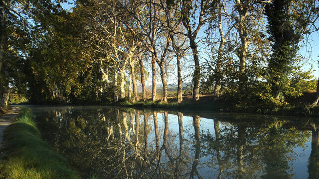 Canal du Midi