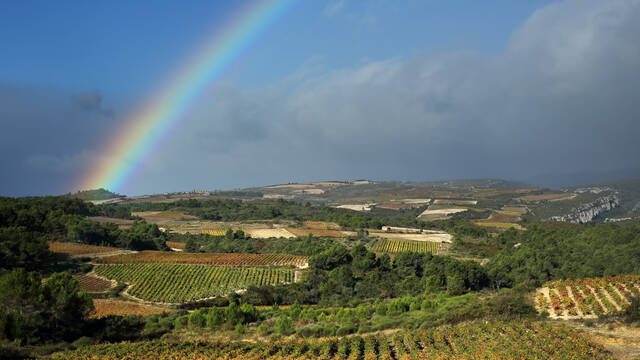 Minervois vineyards in spring ©G. Souche