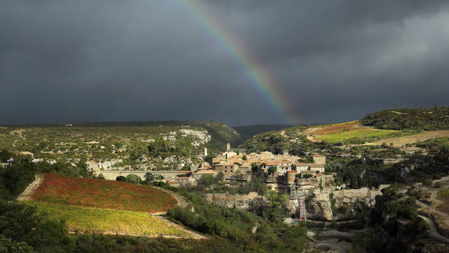 Village, vines and the causses in Languedoc