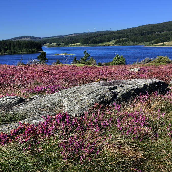 Lake Vésoles