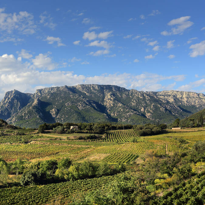 The Caroux mountains